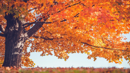 1119150 (a): :1920x1080